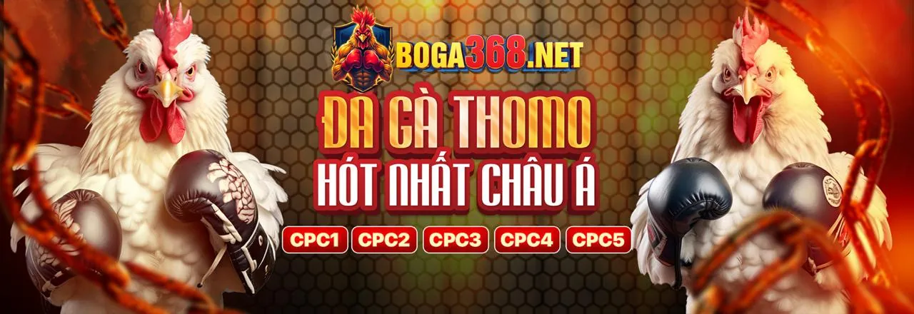 Mẹo cá cược thể thao