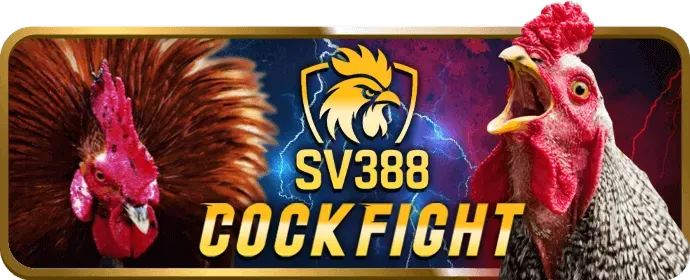 Bảo mật dữ liệu người dùng trên nền tảng u888bet app